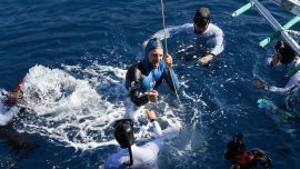 Serbest Dalış Outdoor Dünya Şampiyonası’nda dünya rekoru