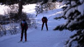 Kayaklı koşucular kar yağışının ardından asfalttan piste çıktı